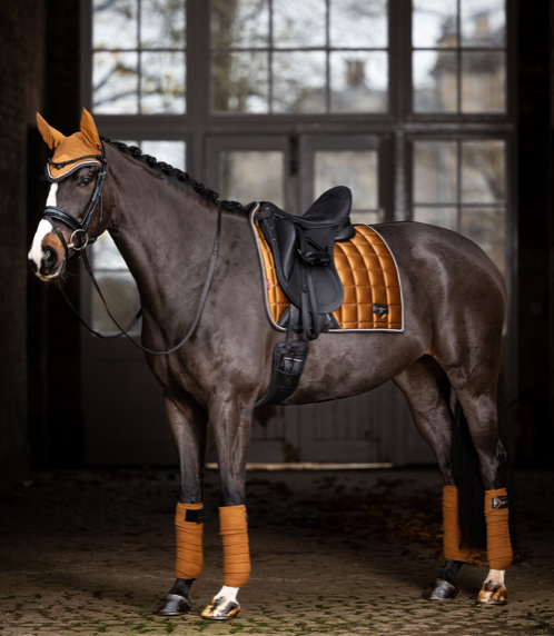 Le Mieux zadeldekje  classic Loire dressuur Ginger MAAT COB