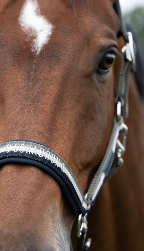 Eskadron Halster Classic Sports '25 halster navy-greige-dusty olive maat pony 