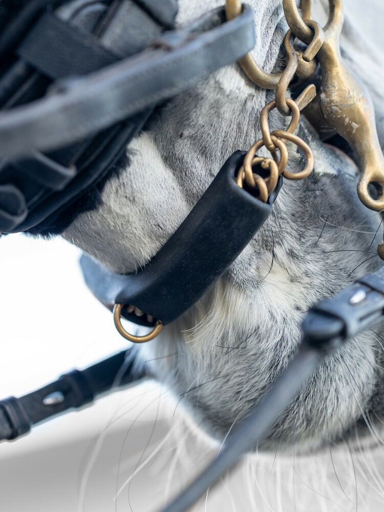 Le Mieux kinketting beschermer rubber zwart