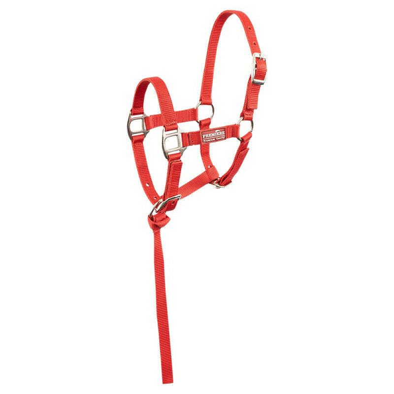Premiere veulenhalster Brisk Pompeian red