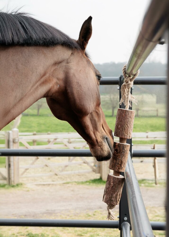 Houten relax Paardenspeelgoed made by nature