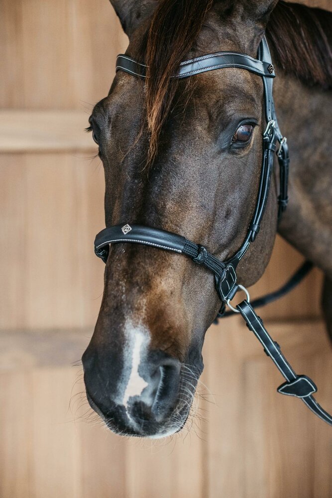 Dy'on bitloos hoofdstel zwart 