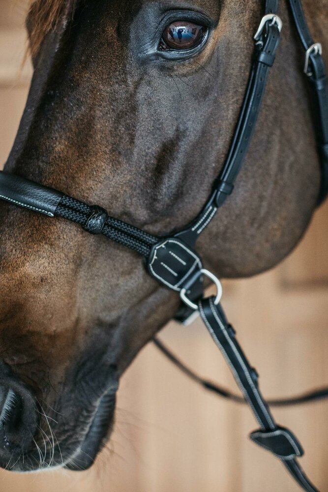 Dy'on bitloos hoofdstel zwart 