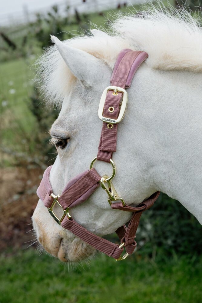  Kentucky Velvet halster Oud Roze SHETTY 