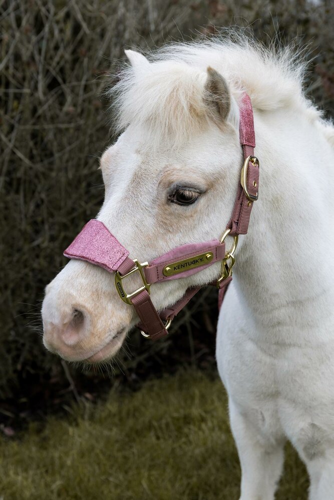  Kentucky Velvet halster EENHOORN Oud Roze SHETTY 