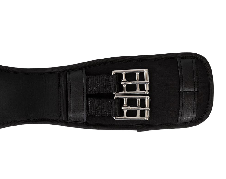 BR singel Evolution dressuur