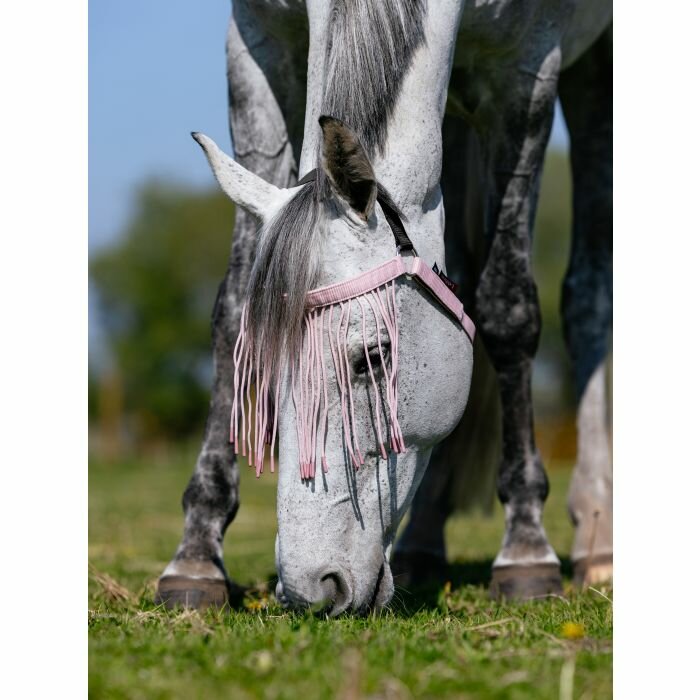 Le Mieux vliegen frontriem Blossom