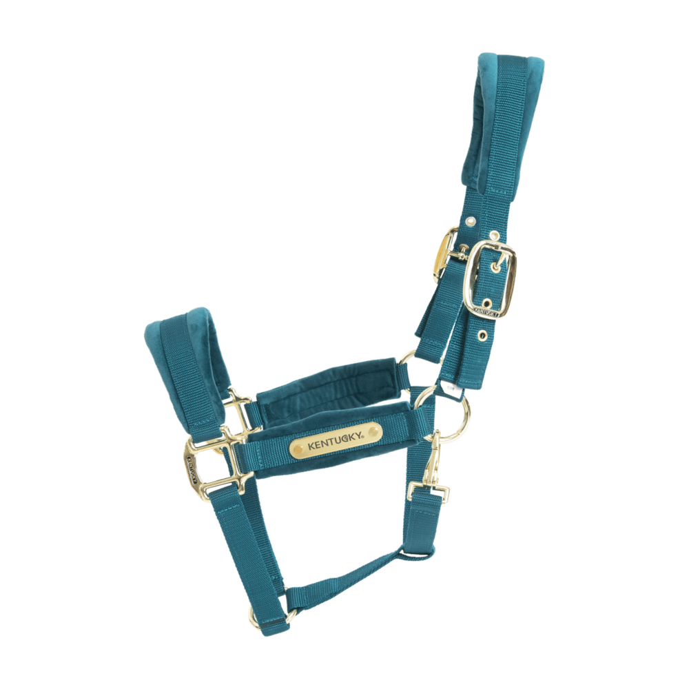  Kentucky Velvet halster Smaragd SHETTY 