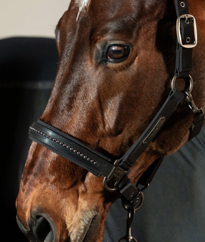  Eskadron platinum 25 Halster SOFTSHELL PEARLS DOUBLE zwart 