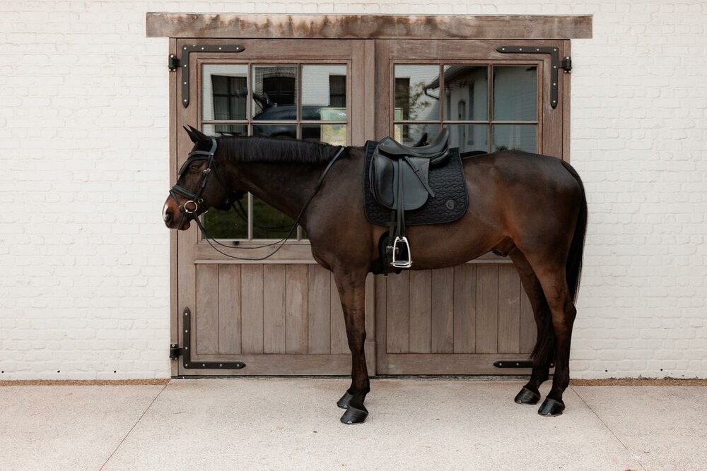 Kentucky Zadeldekje Sprankelend Dressuur Zwart Full