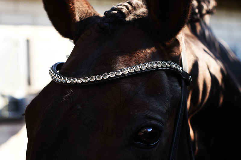 Monère mat zwart frontriem classic XL Perfect Grey