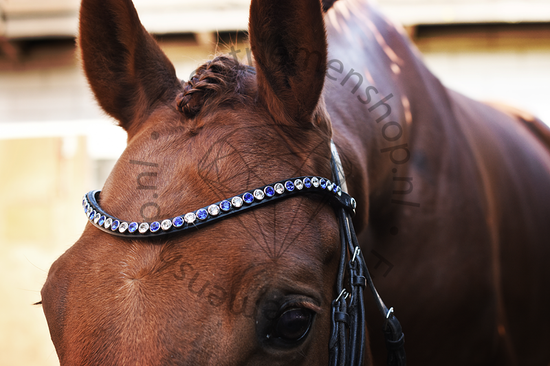 Monère mat zwart frontriem classic XL Perfect Sapphire