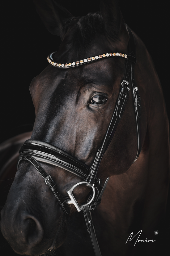 Monère mat zwart frontriem classic XL Classic Gold