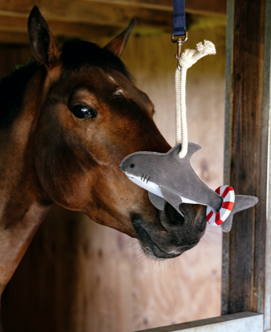 Le Mieux Horse Toy Shark
