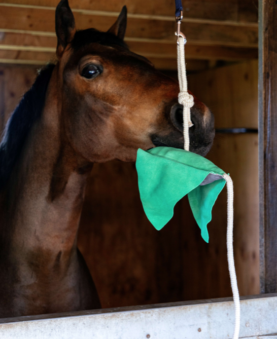 Le Mieux Horse Toy Stingray