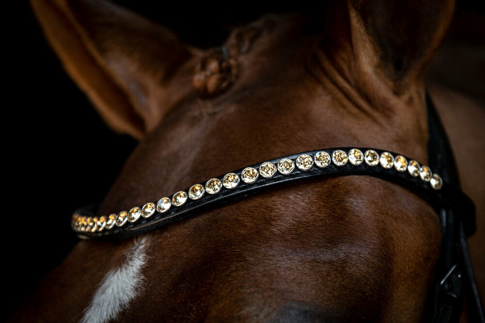 Monère mat zwart frontriem classic XL Golden Shadow