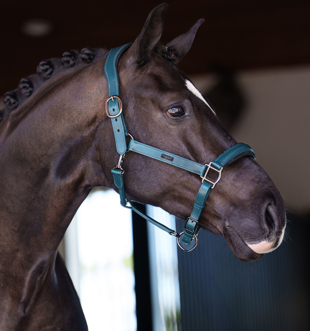  Equestrian Stockholm anatomisch LEREN GLIMMER Halster Teal Blue 