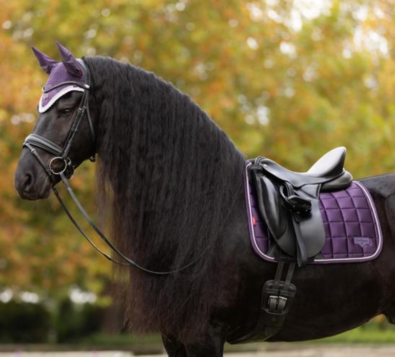 Le Mieux zadeldekje  classic Loire dressuur Juniper