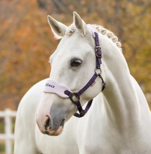 Le Mieux   Vogue halster & touw Juniper