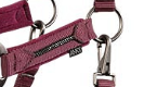 ANKY halster met touw Windsor Wine 