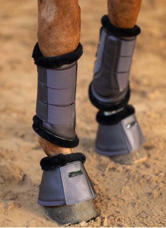 Equestrian Stockholm Dark Violet  (bont)peesbeschermers 