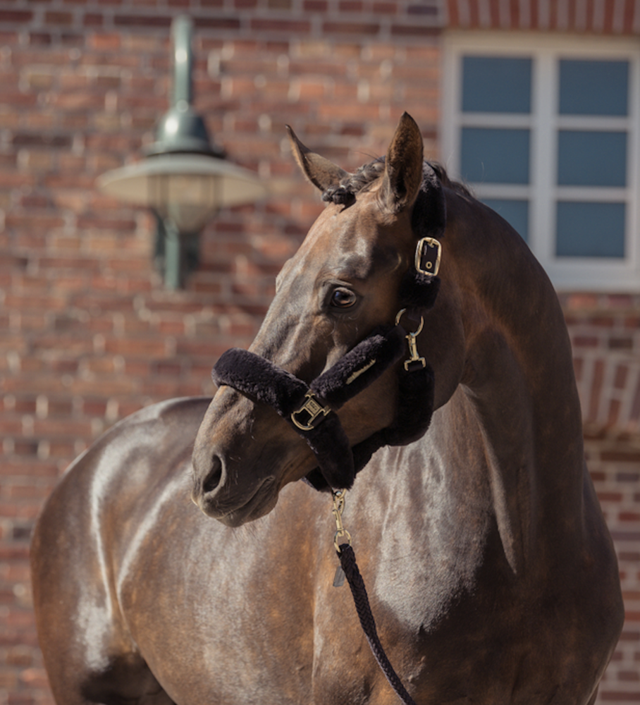  Eskadron Heritage '25 Halster FAUX FUR COMPLETE Black Truffle