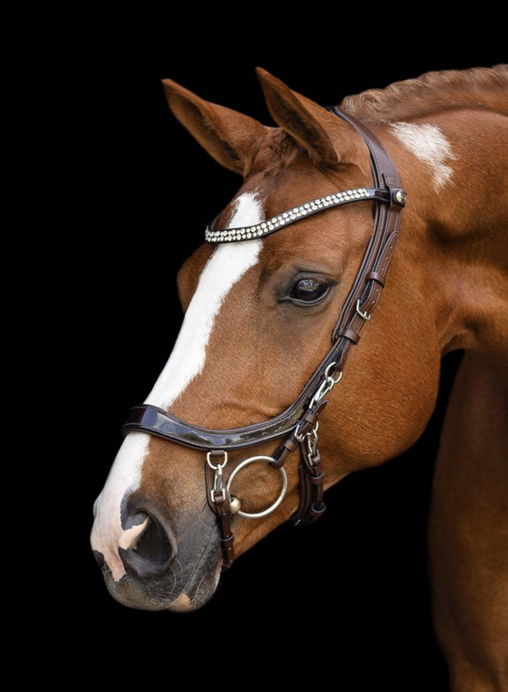 Presteq anatomisch Hoofdstel Fay Sport lakleder zwart 