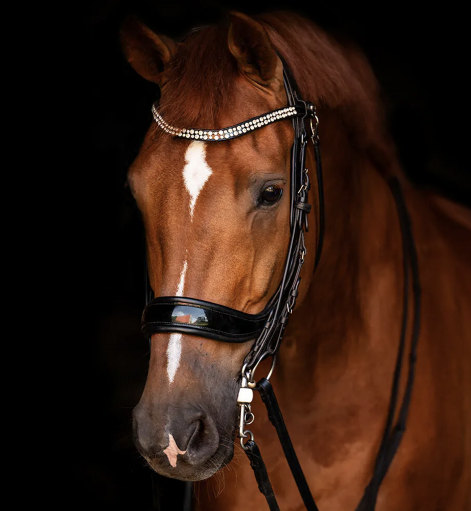 Presteq anatomisch stang & trens hoofdstel FayPerform Shine lakleder - zwart 