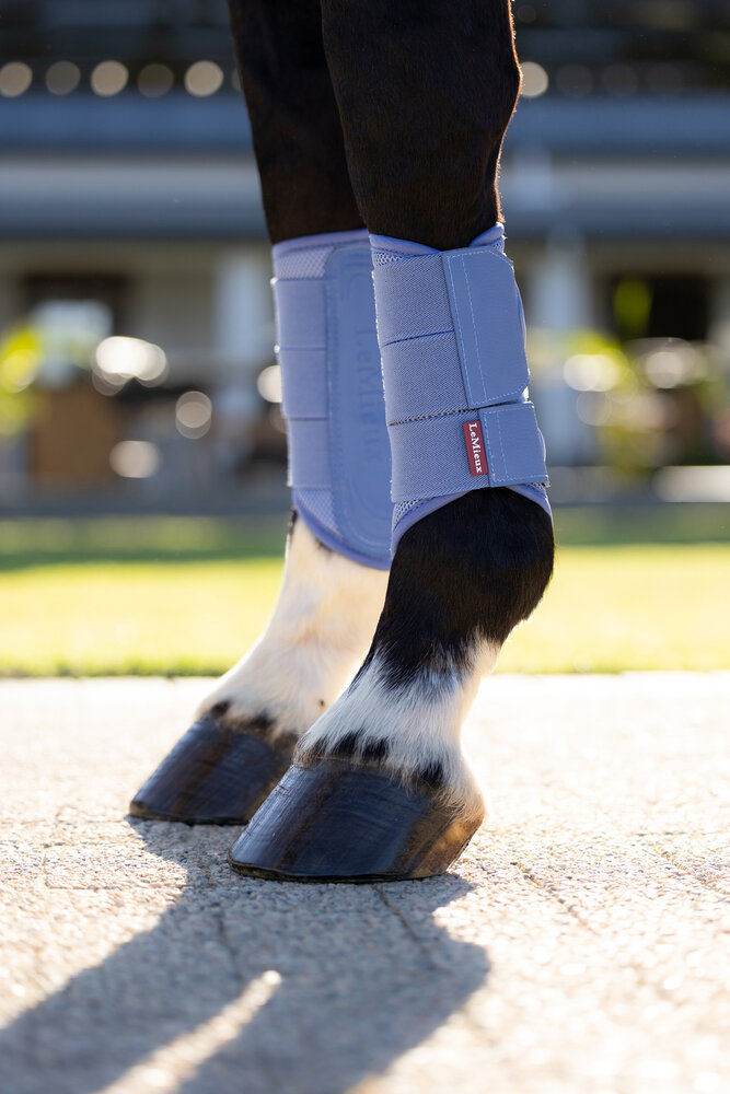 Le Mieux Arika Mesh Brushing Boots Powder Blue