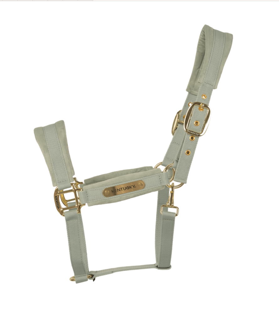 Kentucky Velvet halster Mint