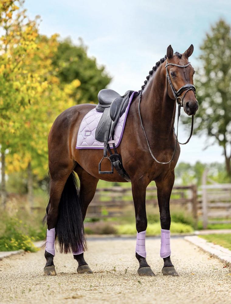 Equestrian Stockholm Lavender Dressuur 