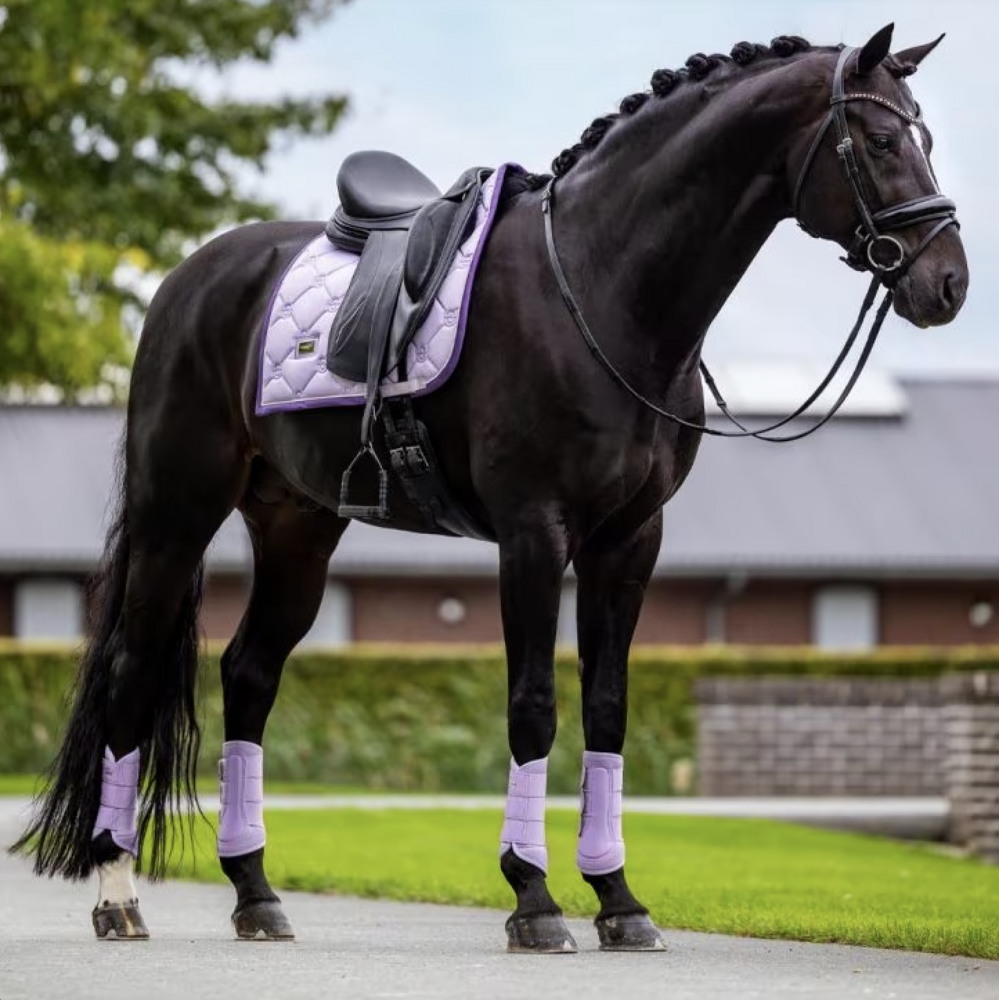 Equestrian Stockholm Mesh peesbeschermers lavender 
