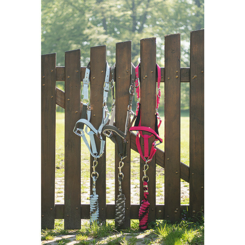 ANKY halster met touw Bungee Cord