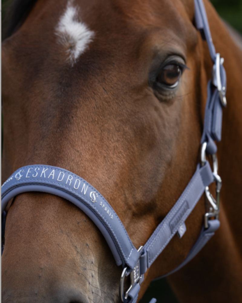 Eskadron classic 26 halster Sparkle Double Pin Orchid