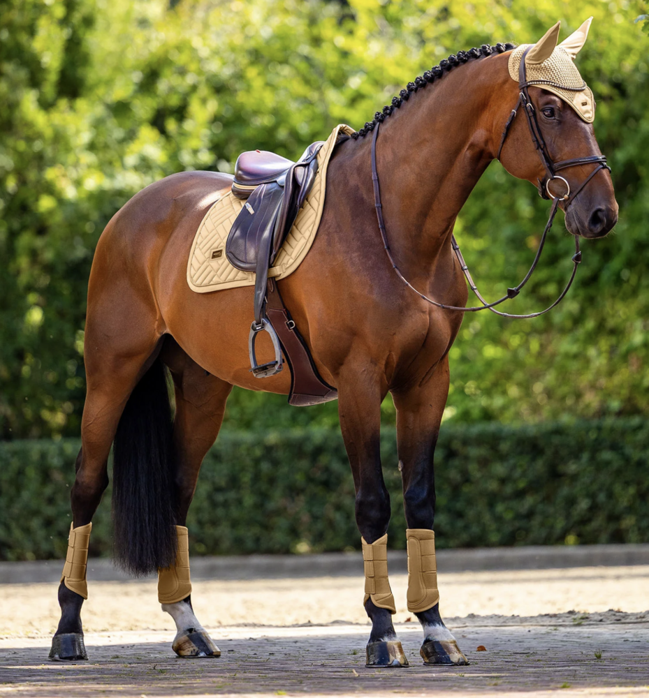 Equestrian Stockholm zadeldek Modern Midsummer Glow Jump - full