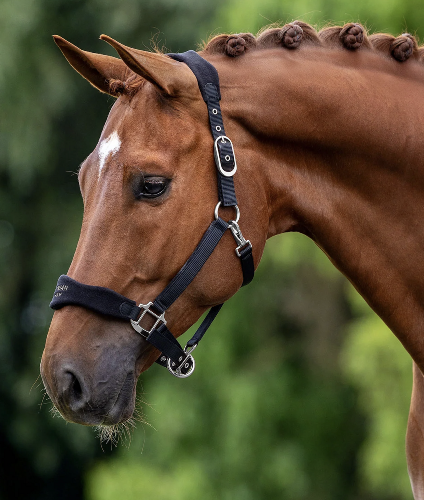  Equestrian Stockholm - Anatomic Fleece - halster zwart