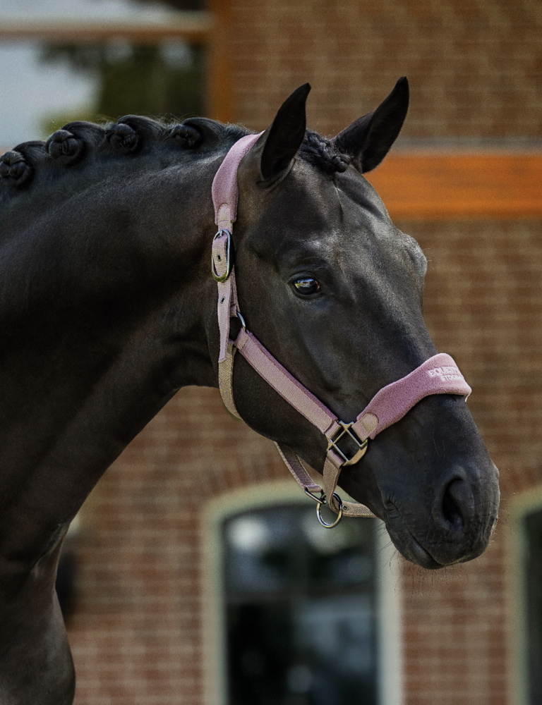  Equestrian Stockholm Anatomic Fleece Halster Blush 