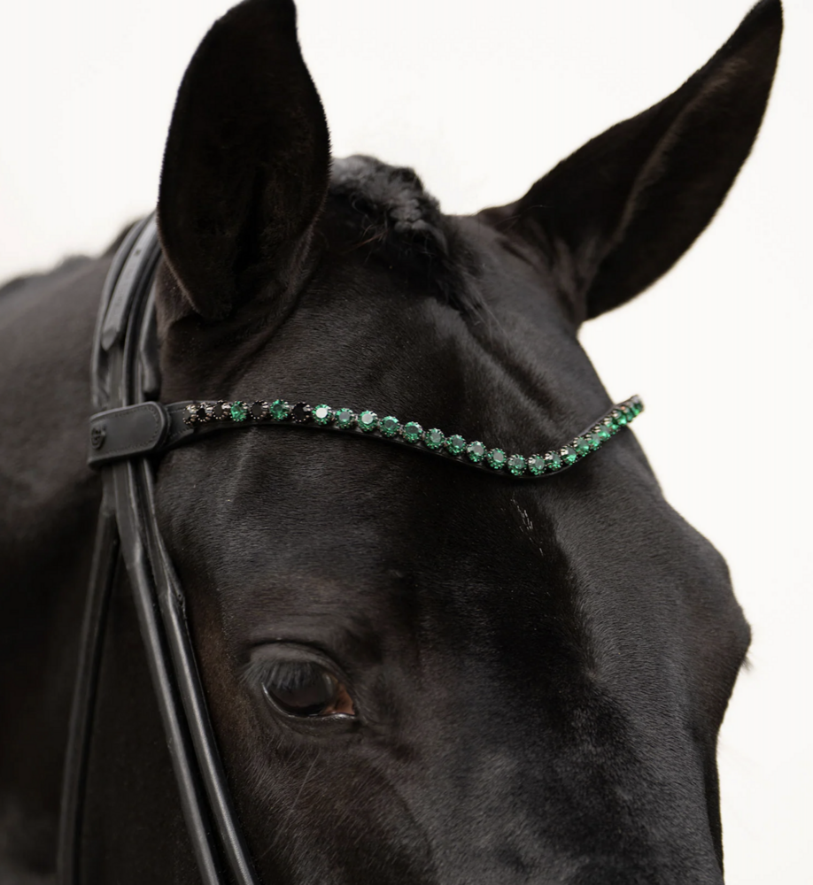 Equestrian Stockholm frontriem  Sycamore 8 mm full