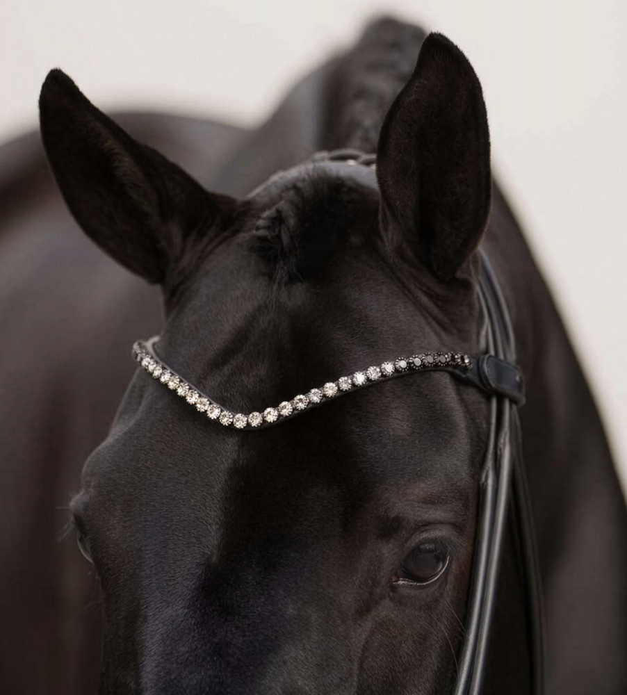 Equestrian Stockholm frontriem zwart  8 mm 
