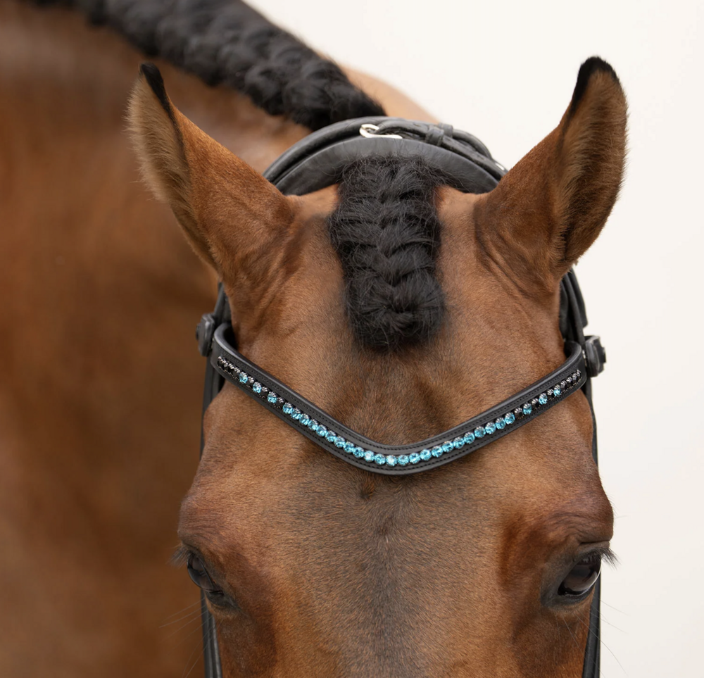 Equestrian Stockholm frontriem Blue Meadow 6 mm full