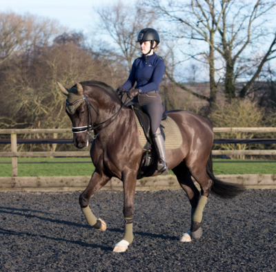 Lemieux Dressage Suede Olive