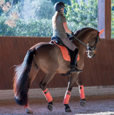 Le Mieux Dressage Suede Sorbet