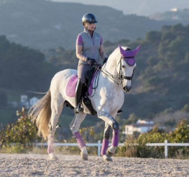 Le Mieux Dressage Suede Lavender