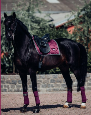Equestrian Stockholm bandages Plum